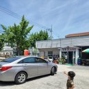 강동참가자미 이미지