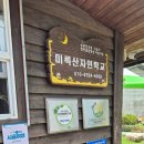힘자리힐링허브