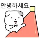 노메부띠크 네이버블로그