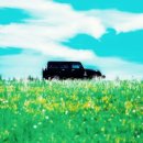 리올란트치과의원 이미지