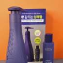 미드나잇포레스트 이미지
