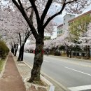 공설운동장 후문 이미지