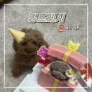 멍프레시 이미지