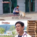 백구스포츠