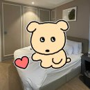 (주)캔컴 | 충주 호텔 브라운도트 충주시청점 후기 편안한 침구