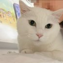 범 동물병원 이미지