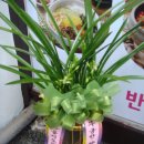 단골밥상 - 김해시 | 단골밥상