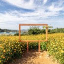 유자의 정원 - 강북구 | 유자의 정원