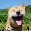 서정하다