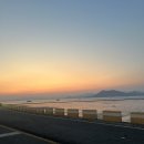 와온해변 오션뷰 호캉스 가능한 여수뮤지컬하우스 애견동반가능!