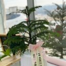세종 공연 관람후기 - 가야금 연주단 해봄 정기공연 &lt;해봄, 두번째 이야기&gt;
