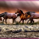 더메이피부과의원 이미지