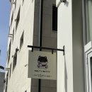 솔티위티 이미지