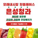 은성청과