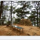 승삼마을 이미지