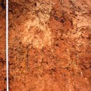 창원도계동고분군 이미지