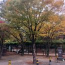 엄사중앙어린이공원 이미지