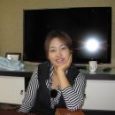 계화목장 Daum카페