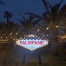 팜파네 | 제주도 애월카페: 팜파네(PALMPANE)솔직후기