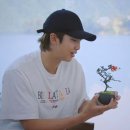 공주-06 이미지