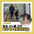 편지요~ | [경북 청송] 소노벨 근처 아이와 가볼 만한 곳, 청송백자 &amp; 옛편지전시관 솔직 후기