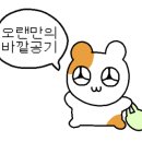 쿠시노아신부점 이미지
