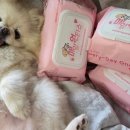 천풍동물병원 이미지