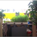 엄마손분식 이미지