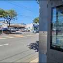 바른렌트카 | 제주도 서귀포 갈치조림 맛집 찾다 공항에 위치한 바른갈치 방문 후기