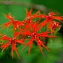 봉양농장 이미지