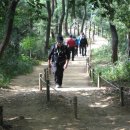 정자주유소 이미지