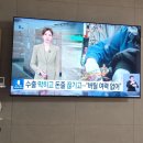 도화한의원 | 일상/애호박 국밥 맛집