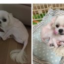 몽스샵 네이버블로그