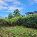 황수란피부과의원 이미지