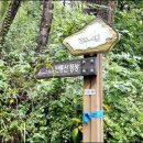 반룡산공원 | 김해 장유 반룡산 비 오는 날 오른 해발 238m 낮은 산