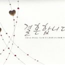 함평천지꽃