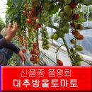 사석농장 이미지