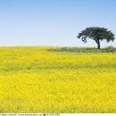 인화농장 이미지