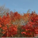 정연농산 - 김포시 사우중로11번길 39 | 20차 사찰순례 / 팔공산 파계사