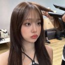 로즈미용실 - 안동시 | 로즈미용실
