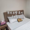 장원모텔 | 부여 출장 &#39;수모텔&#39;, 가성비 빨래 가능 모텔 (feat.장원막국수)