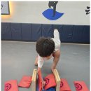 전남체육관태권도 이미지