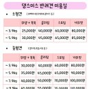 댕스미스 이미지