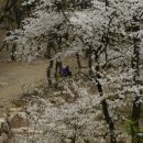 혜선목장 이미지