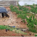 김제아리랑농원 이미지