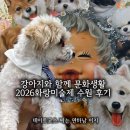 삼성애견 | 2026 화랑미술제 수원컨벤션센터 아트페어 이지랑 다녀온 애견동반 전시회 솔직후기