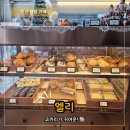 안산역건너편 | 안산 대형 카페 추천, 코끼리 테마가 매력적인 '엘리' 내돈내산 안산 베이커리 카페 재방문 후기!