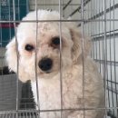 주공썬마트 이미지