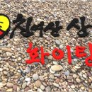 백선권 Daum카페
