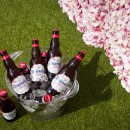 맥주한잔 - 제주시 서사로 165 | 맥주한잔